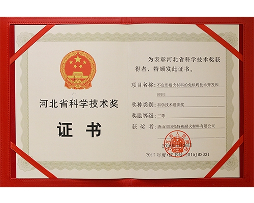 Hebei provincial science and Technology Award